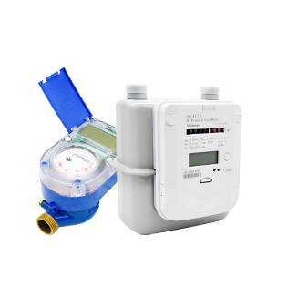Water and Gas Meters